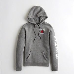 Gray Hollister Sweatshirt